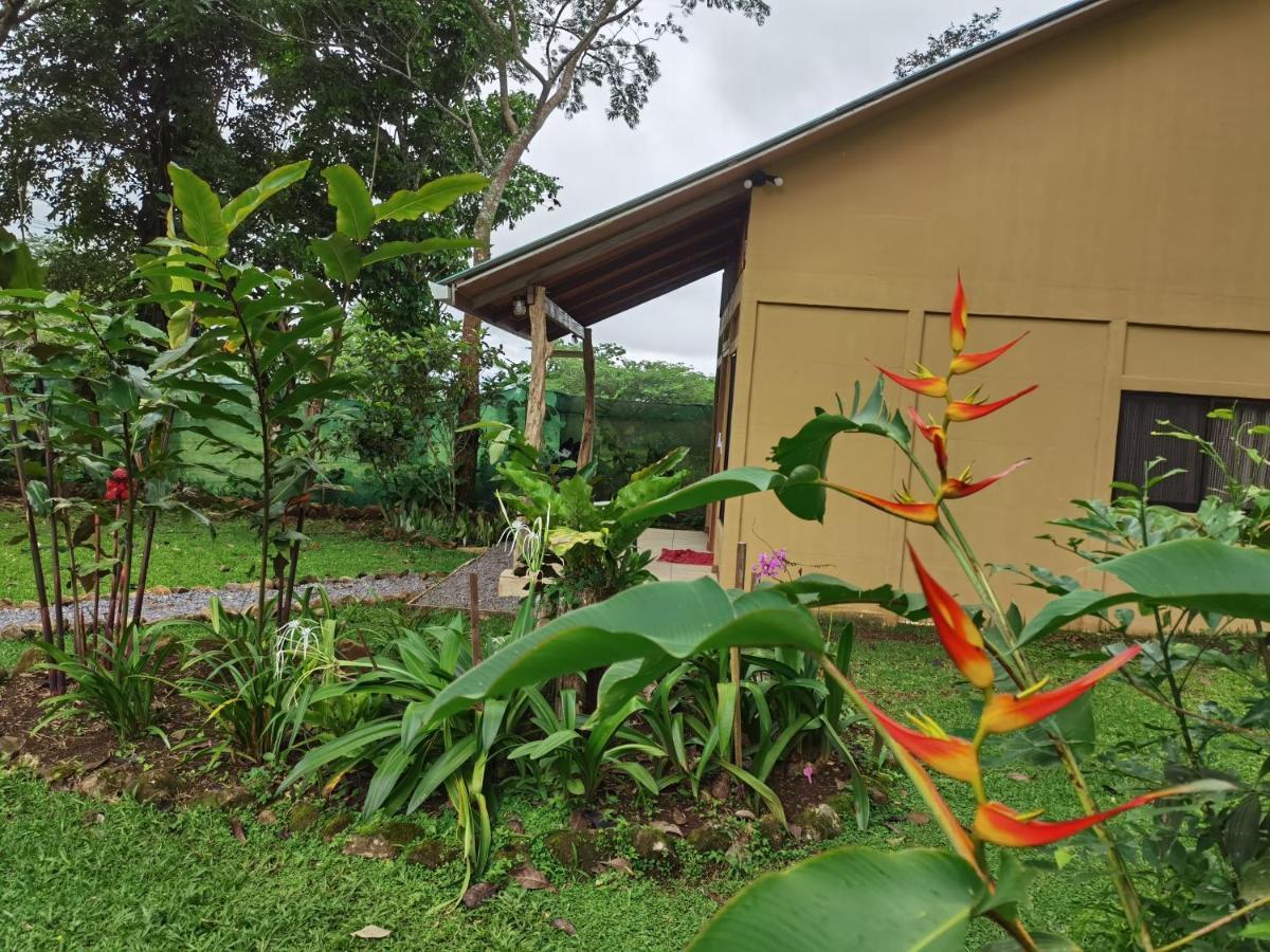 Greenhouse Loft Miravalles Aguas Claras  Exterior foto