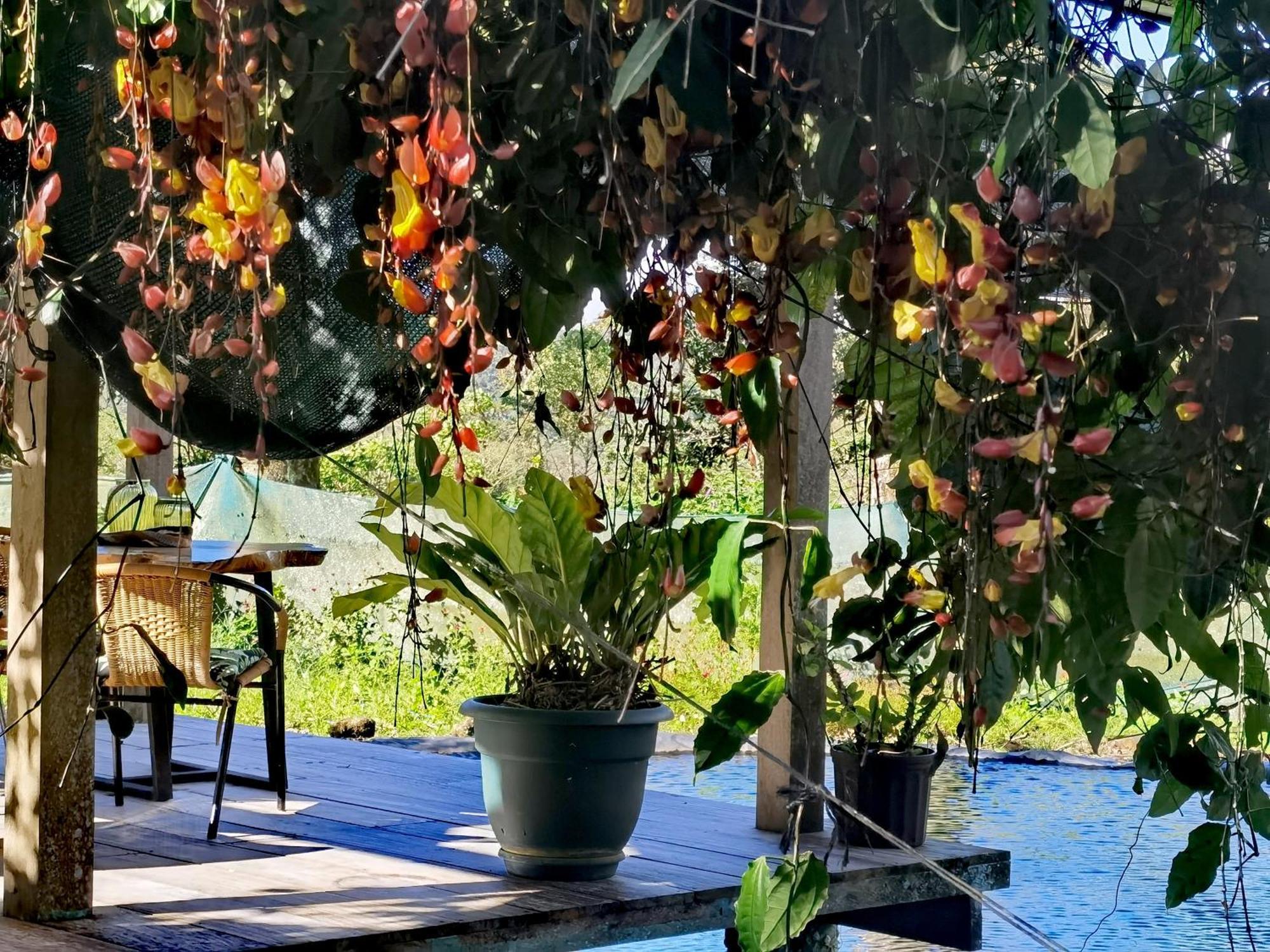 Greenhouse Loft Miravalles Aguas Claras  Exterior foto